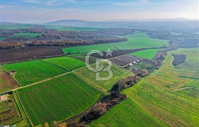 Çatalca Çakıl 9.352 m² Satılık Yatırım Arazisi