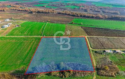 Çatalca Çakıl 9.352 m² Satılık Yatırım Arazisi