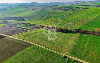 Çatalca Çakıl 9.352 m² Satılık Yatırım Arazisi