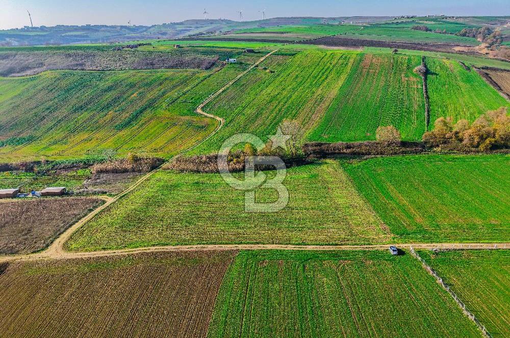 Çatalca Çakıl 9.352 m² Satılık Yatırım Arazisi