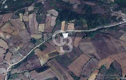 ÇANAKKALE LAPSEKİ BEYÇAYIR KÖYÜNDE SATILIK ARAZİ