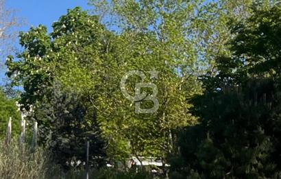 Beşiktaş Kiralık Prestijli Konum 120m² Asansörlü Nezih Apartman