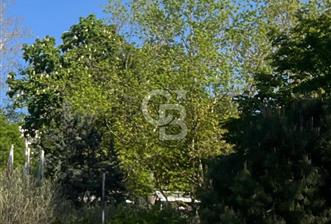 Beşiktaş Kiralık Prestijli Konum 120m² Asansörlü Nezih Apartman - 6 - 325145