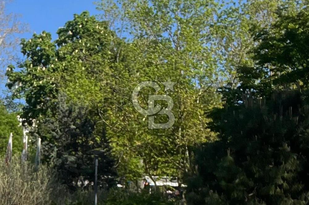 Beşiktaş Kiralık Prestijli Konum 120m² Asansörlü Nezih Apartman