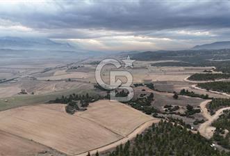 DENİZLİ BOZKURT SATILIK 14 DÖNÜM TARLA - 5 - 325172