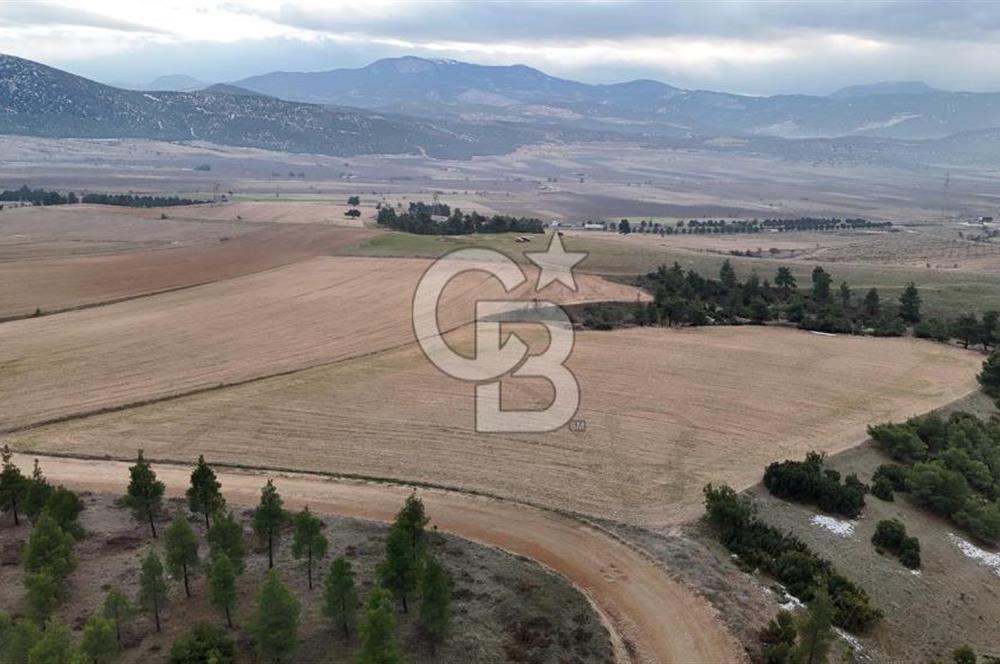 DENİZLİ BOZKURT SATILIK 14 DÖNÜM TARLA