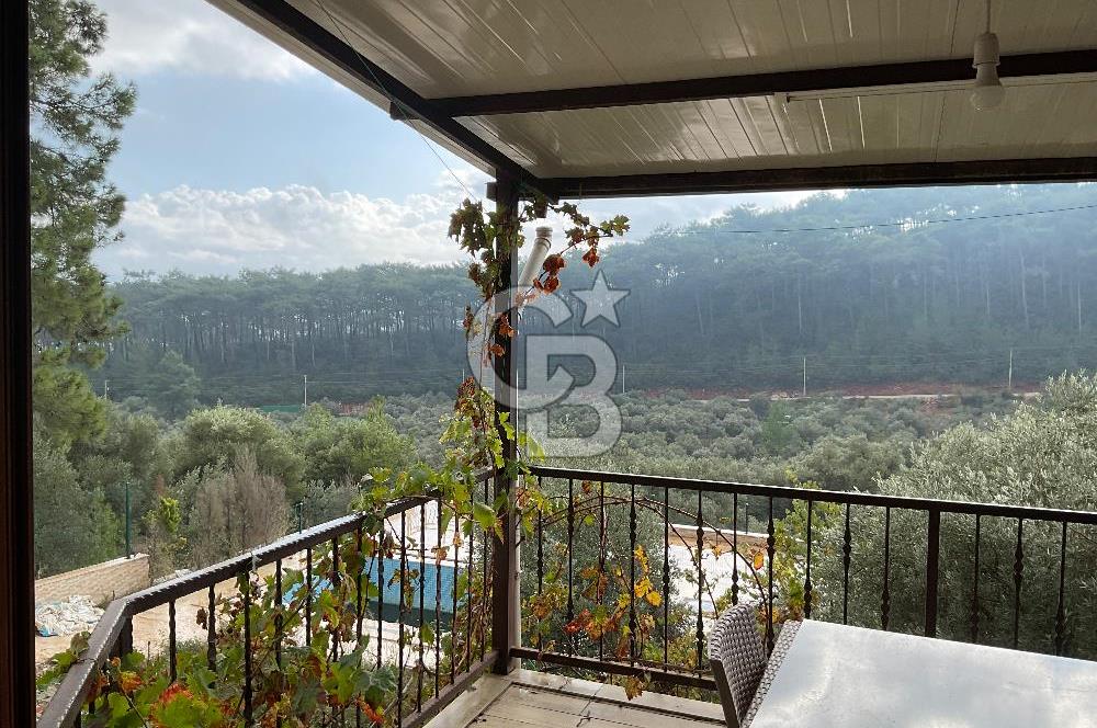 Muğla Kuyucakta Satılık Müstakil Ev
