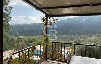 Muğla Kuyucakta Satılık Müstakil Ev