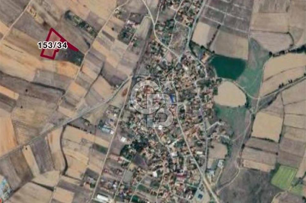 KIRKLARELİ BABAESKİ'de SATILIK TARLA