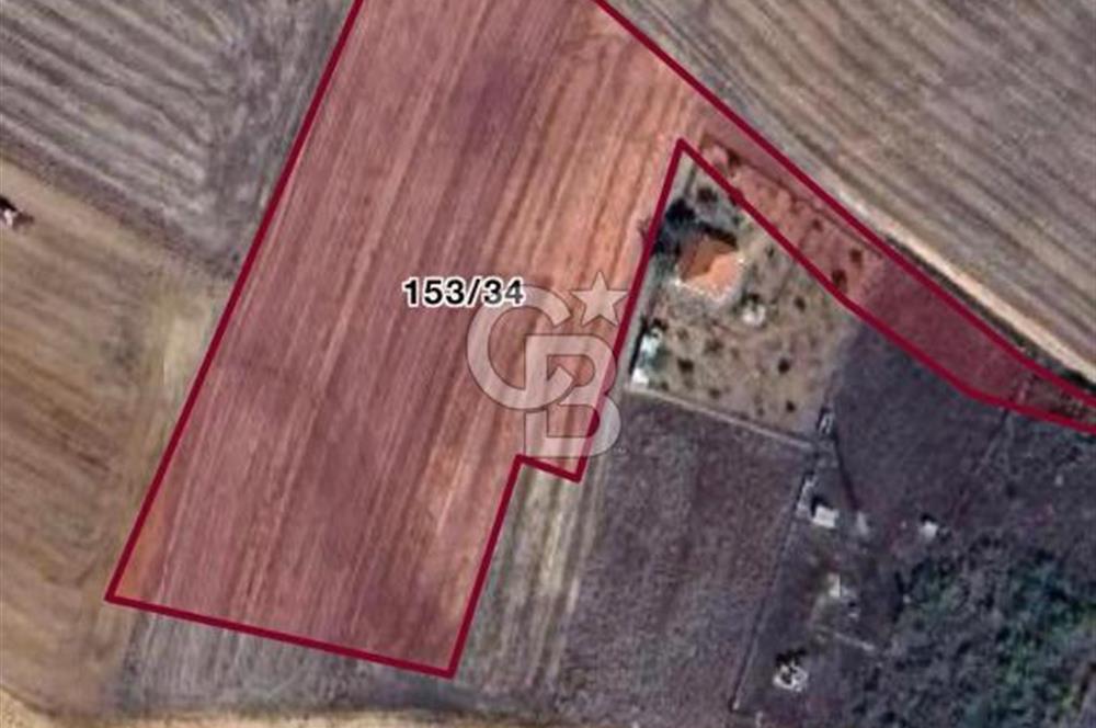 KIRKLARELİ BABAESKİ'de SATILIK TARLA