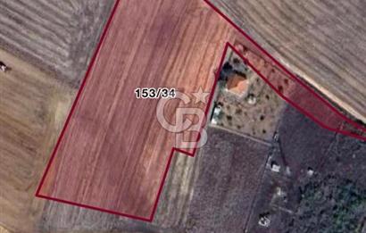 KIRKLARELİ BABAESKİ'de SATILIK TARLA