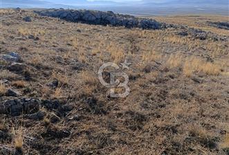 Korkuteli Manay Mevkii’nde 6.400 m² Satılık Tarla – Araç Takasına Uygun - 2 - 325307