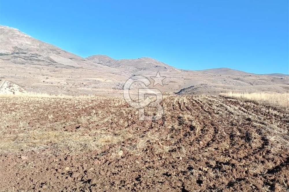 Korkuteli Manay Mevkii’nde 6.400 m² Satılık Tarla – Araç Takasına Uygun