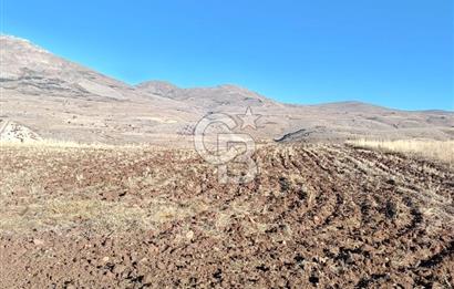 Korkuteli Manay Mevkii’nde 6.400 m² Satılık Tarla – Araç Takasına Uygun