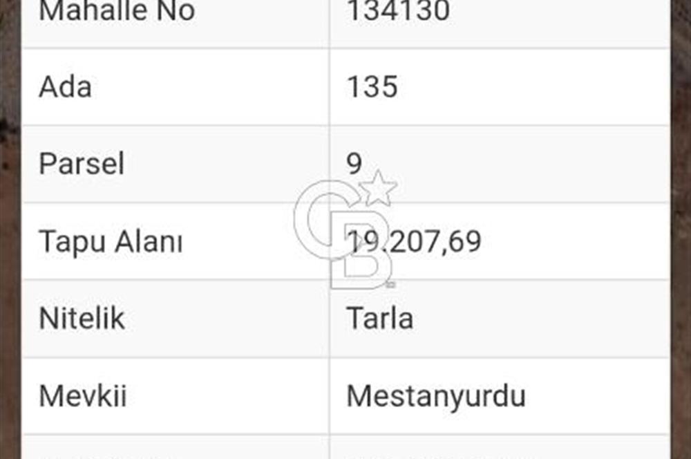Korkuteli Manay Mevkii’nde 6.400 m² Satılık Tarla – Araç Takasına Uygun