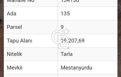 Korkuteli Manay Mevkii’nde 6.400 m² Satılık Tarla – Araç Takasına Uygun