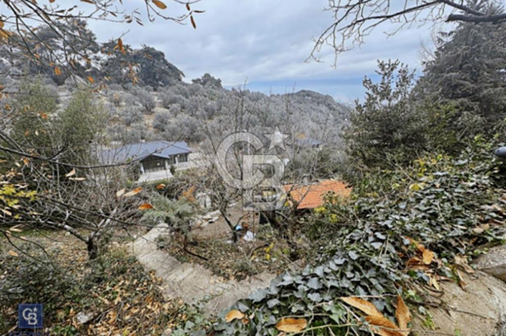 SATILIK ESKİ ARKAS ÇİFTLİĞİ 