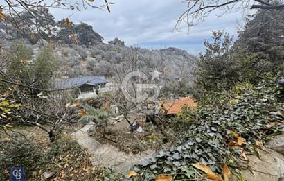 SATILIK ESKİ ARKAS ÇİFTLİĞİ 