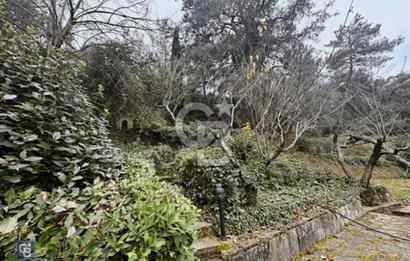 SATILIK ESKİ ARKAS ÇİFTLİĞİ 