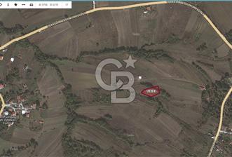 Kocaeli Kandıra'da 1619,29 m² Yatırıma Uygun Tarla - 4 - 325349