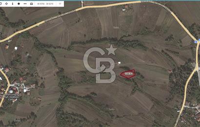 Kocaeli Kandıra'da 1619,29 m² Yatırıma Uygun Tarla