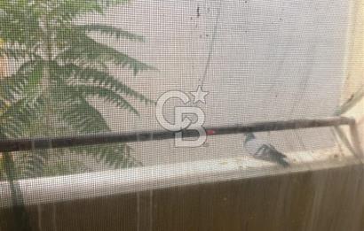 CB CITY'DEN BÜYÜKDERE MAHALLESİNDE EŞYALI SATILIK 1+1 DAİRE