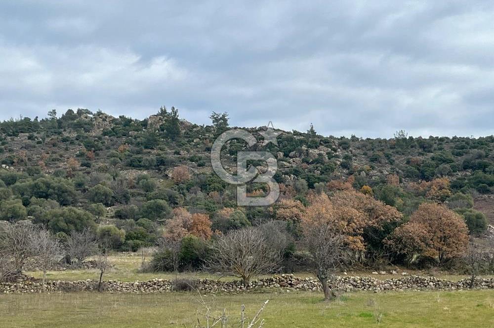 EVONA'DAN KARAKILIÇLI'DA SATILIK 16 DÖNÜM TARLA