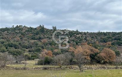 EVONA'DAN KARAKILIÇLI'DA SATILIK 16 DÖNÜM TARLA