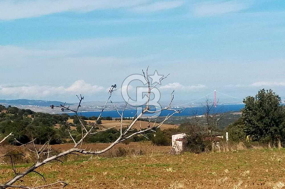 Bitişik 2 Parsel | Toplam ~15 Dönüm | Ana Yola Cepheli