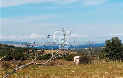 Bitişik 2 Parsel | Toplam ~15 Dönüm | Ana Yola Cepheli