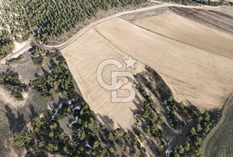 DENİZLİ BOZKURT SATILIK TARLA - 9 - 325351