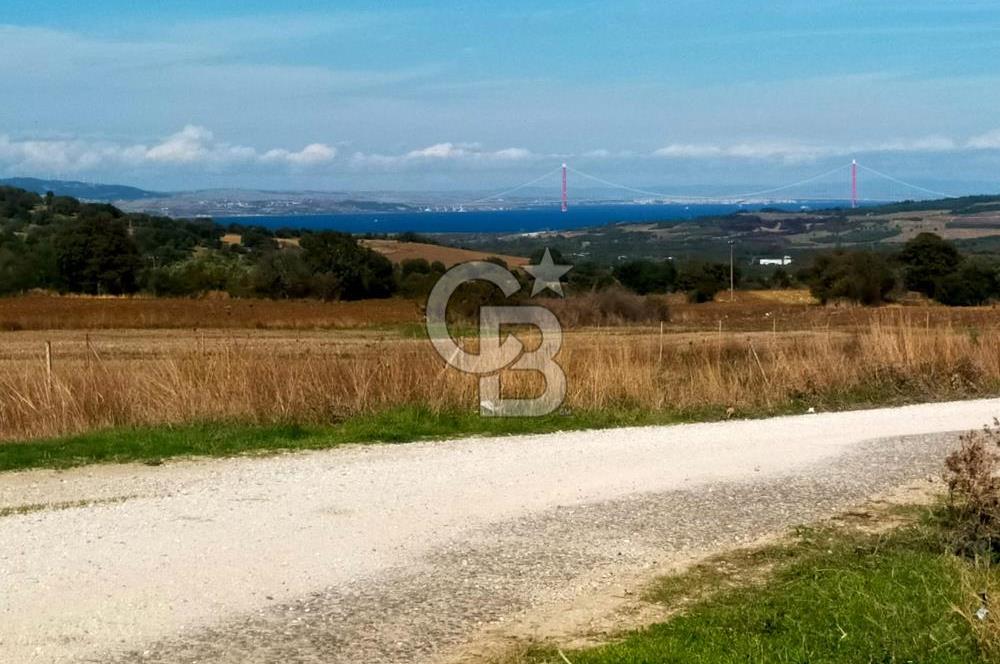 Bitişik 2 Parsel | Toplam ~15 Dönüm | Ana Yola Cepheli