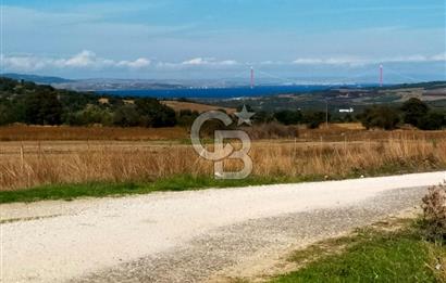 Bitişik 2 Parsel | Toplam ~15 Dönüm | Ana Yola Cepheli