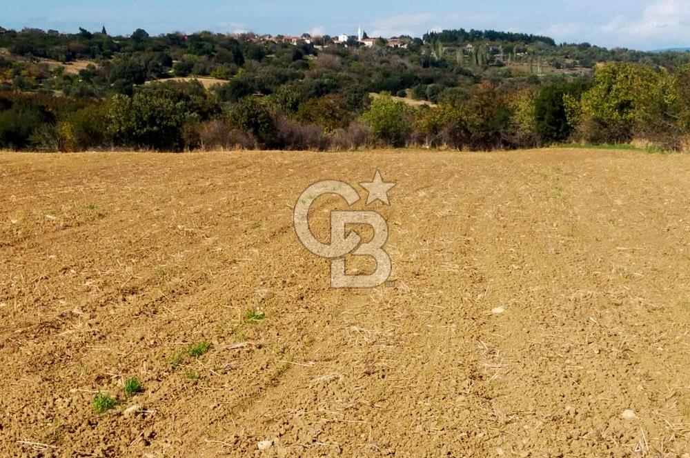 Bitişik 2 Parsel | Toplam ~15 Dönüm | Ana Yola Cepheli