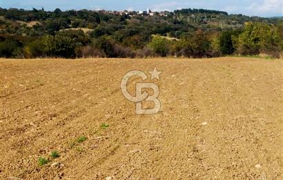 Bitişik 2 Parsel | Toplam ~15 Dönüm | Ana Yola Cepheli