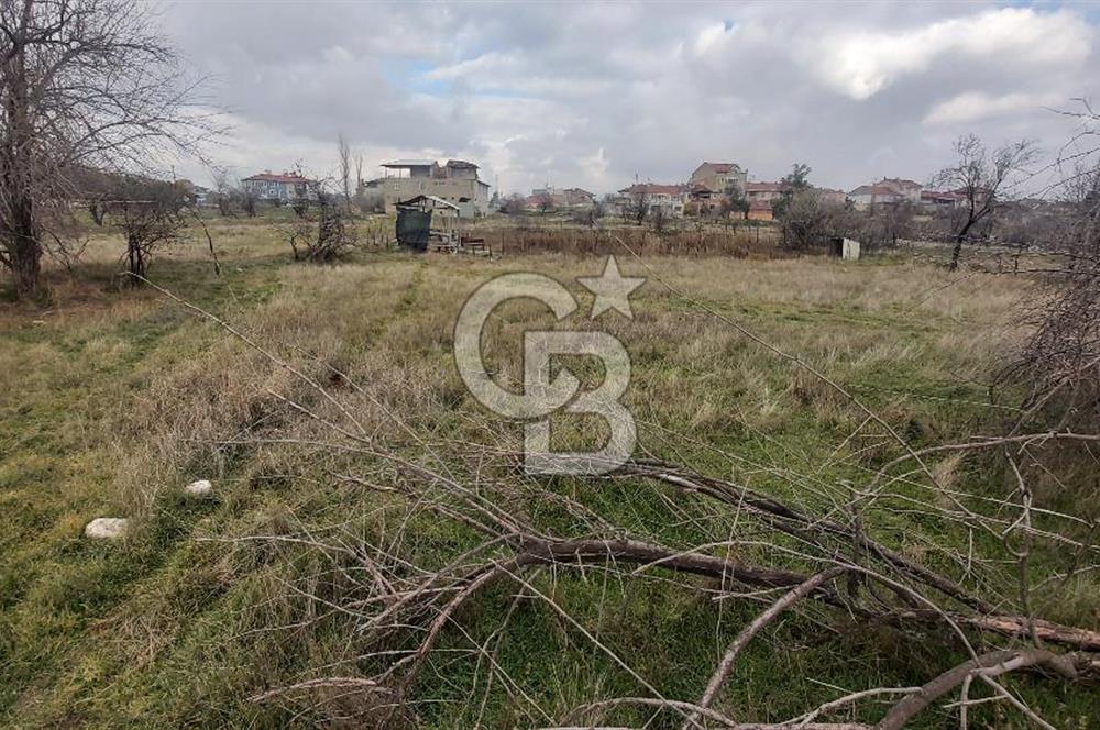 Afyon-Dazkırı Barbaros Mah.de 474 m² Konut İmarlı Satılık Arsa