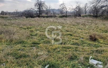 Afyon-Dazkırı Barbaros Mah.de 806 m² Konut İmarlı Satılık Arsa