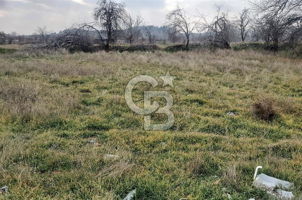 Afyon-Dazkırı Barbaros Mah.de 474 m² Konut İmarlı Satılık Arsa