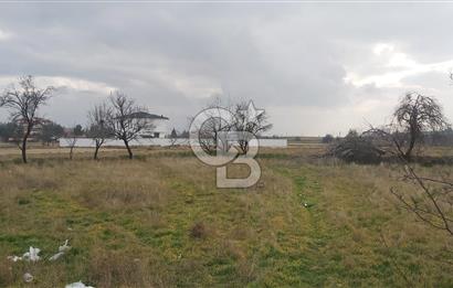 Afyon-Dazkırı Barbaros Mah.de 806 m² Konut İmarlı Satılık Arsa