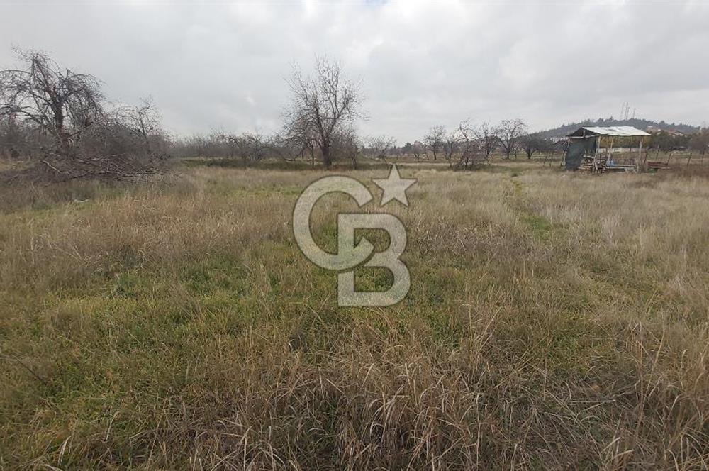 Afyon-Dazkırı Barbaros Mah.de 806 m² Konut İmarlı Satılık Arsa