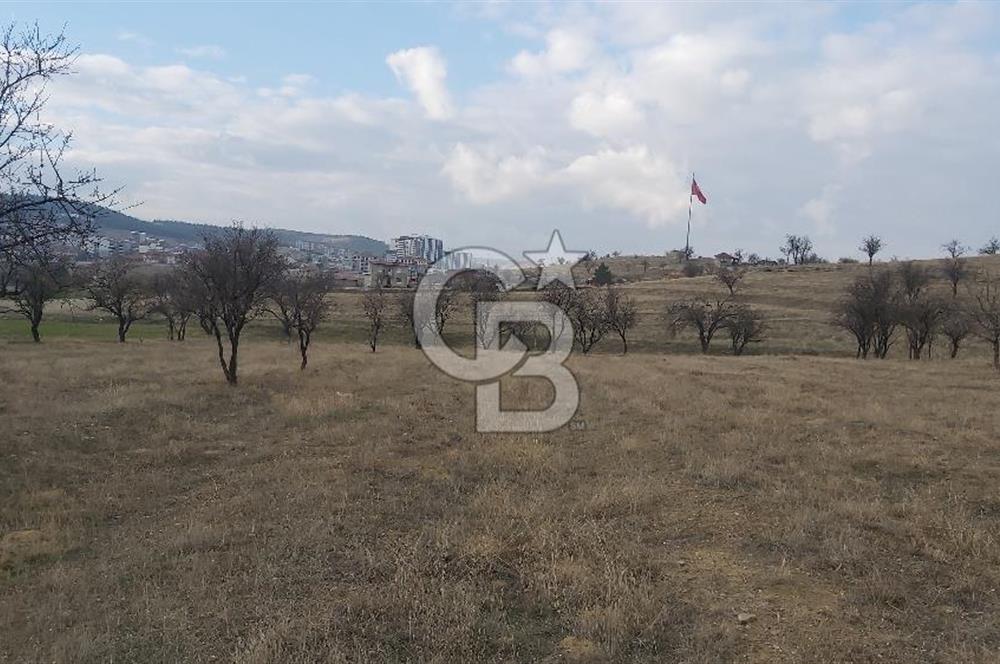 Afyon-Dazkırı Esentepe Mah.Engerek Mevkiinde İmar Sınırında 2.896 m² Satılık Bahçe