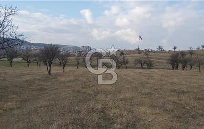 Afyon-Dazkırı Esentepe Mah.Engerek Mevkiinde İmar Sınırında 2.273 m² Satılık Bağ