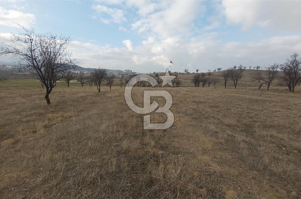 Afyon-Dazkırı Esentepe Mah.Engerek Mevkiinde İmar Sınırında 2.273 m² Satılık Bağ