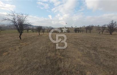 Afyon-Dazkırı Esentepe Mah.Engerek Mevkiinde İmar Sınırında 2.273 m² Satılık Bağ