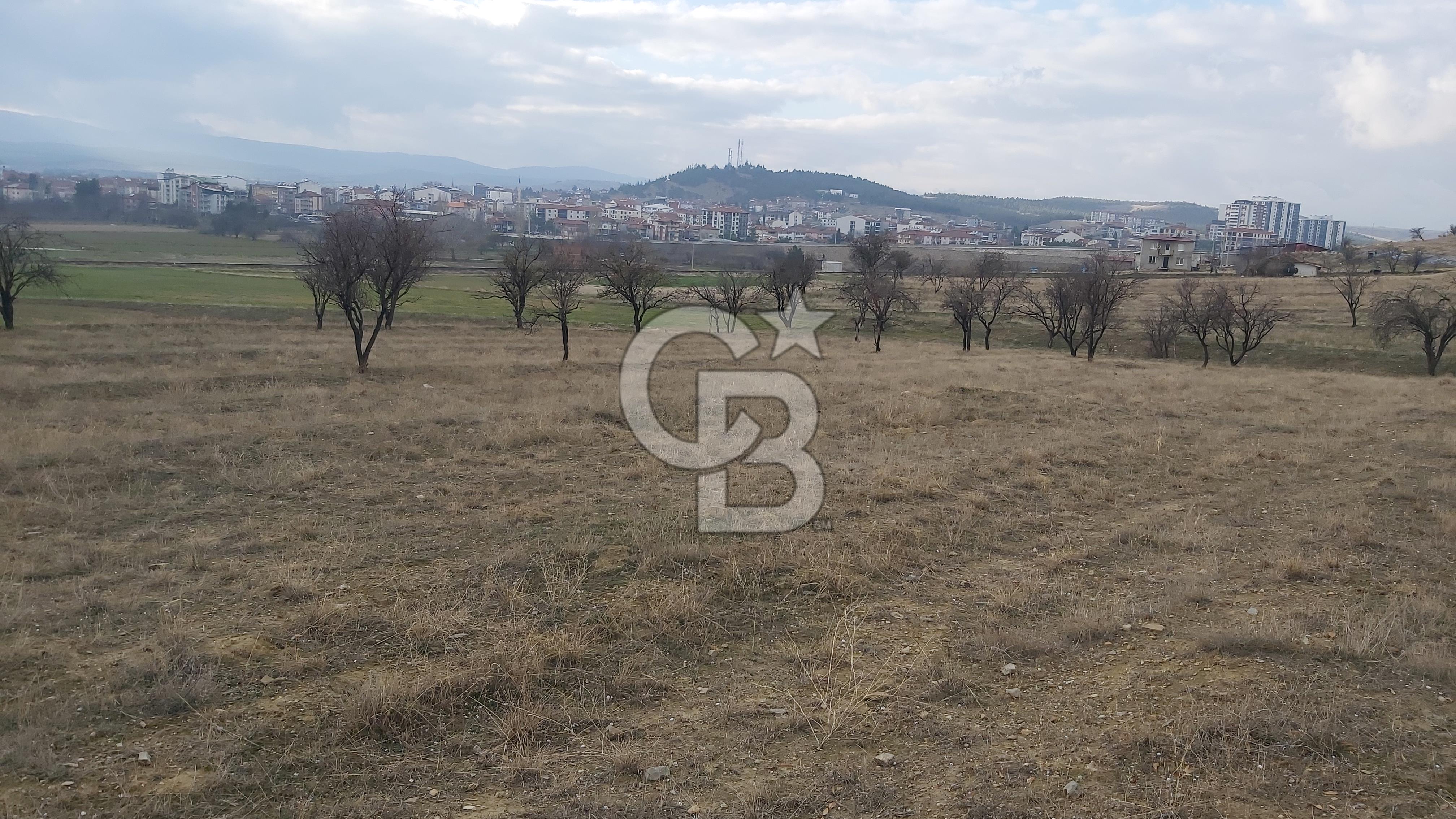 Afyon-Dazkırı Esentepe Mah.Engerek Mevkiinde İmar Sınırında 2.896 m² Satılık Bahçe