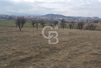 Afyon-Dazkırı Esentepe Mah.Engerek Mevkiinde İmar Sınırında 2.896 m² Satılık Bahçe - 1 - 325374