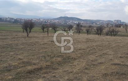 Afyon-Dazkırı Esentepe Mah.Engerek Mevkiinde İmar Sınırında 2.896 m² Satılık Bahçe