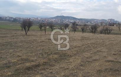 Afyon-Dazkırı Esentepe Mah.Engerek Mevkiinde İmar Sınırında 2.896 m² Satılık Bahçe