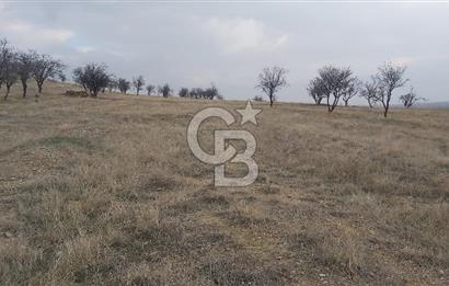 Afyon-Dazkırı Esentepe Mah.Engerek Mevkiinde İmar Sınırında 2.896 m² Satılık Bahçe