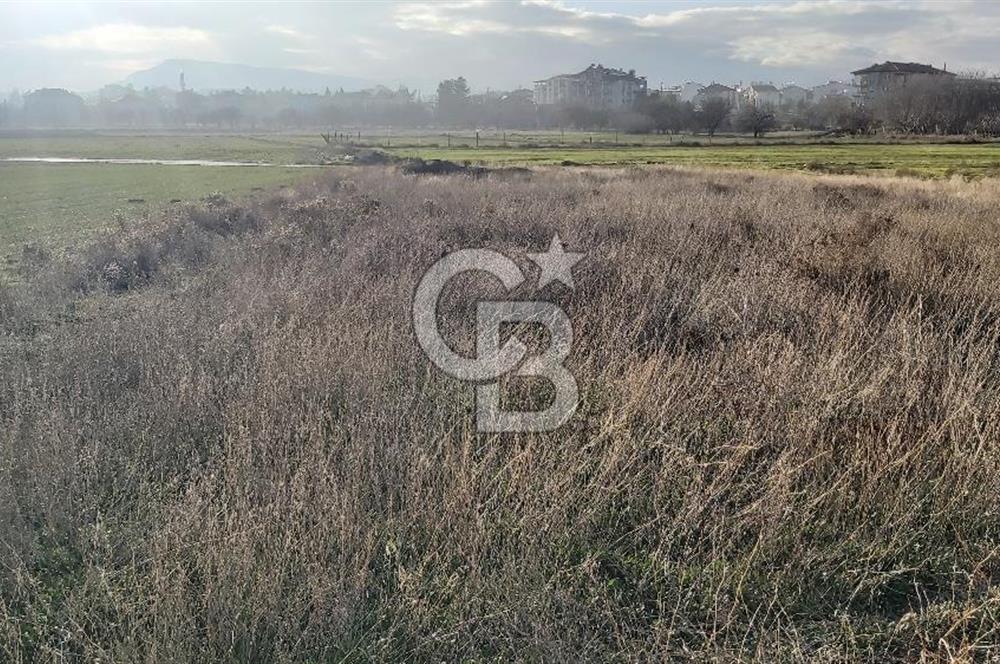 Afyon-Dazkırı Esentepe Mah.de 980 m² Konut İmarlı Satılık Arsa